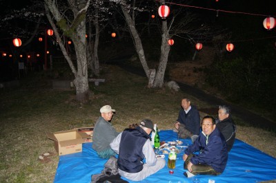 城山公園の夜桜