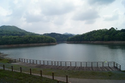 いなさ湖の水が少ない