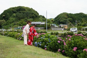 伊平あじさいまつり