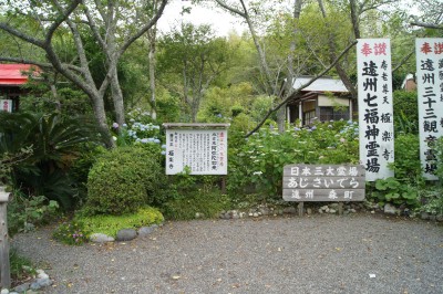 アジサイ寺