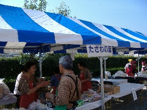 健康まつり