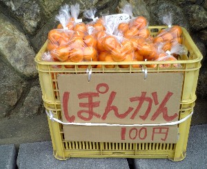 ぽんかん