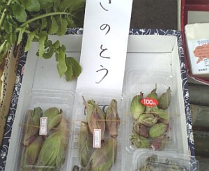 きらっと市場ｐ６