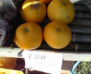 きらっと市場ｐ８