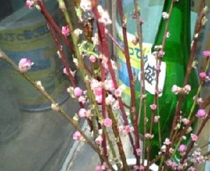 花桃の郷