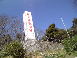 さくらまつり
