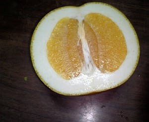安政柑