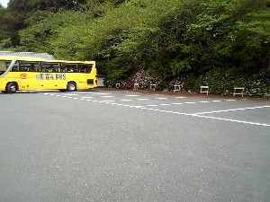 龍潭寺のつつじ