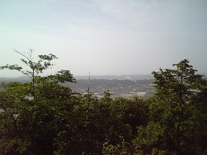 黄砂