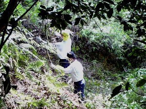 城山下刈り
