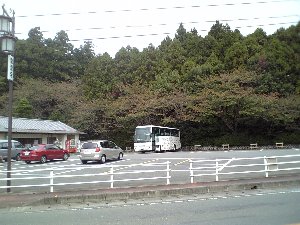 龍潭寺の紅葉をただで見る方法