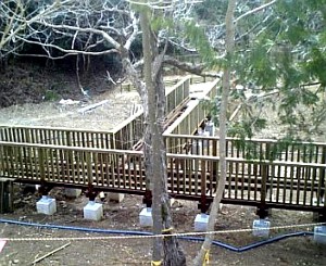 引佐　天池公園