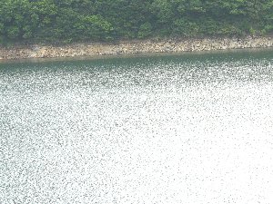 いなさ湖水位低下