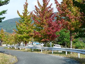 いなさ湖初秋編パート４