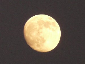 十四夜