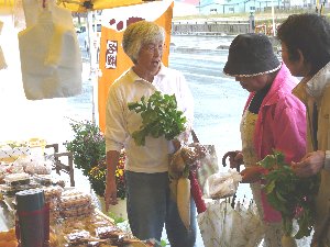 きらっと市場ｐ１８