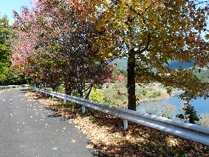 晩秋のいなさ湖