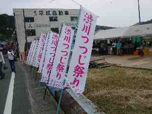 渋川つつじ開花情報