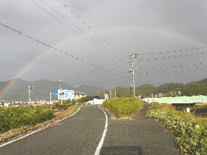 虹のワイドショー