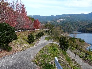 いなさ湖の冬その１