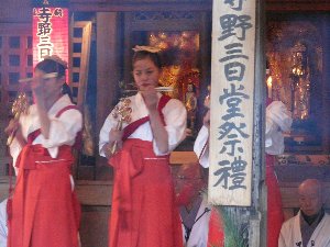 寺野ひよんどり