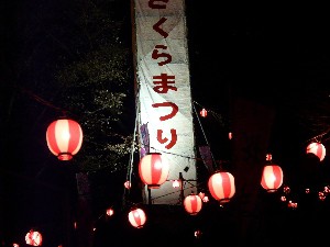 城山公園ライトアップ