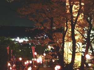 城山公園夜桜満開