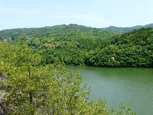 新緑のいなさ湖