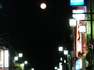 立待の月