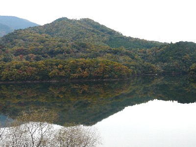 いなさ湖の秋パート５