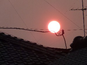 夕日