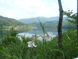 初秋のいなさ湖畔