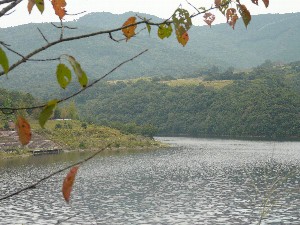 いなさ湖の秋パート１