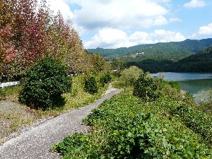 いなさ湖の秋パート２