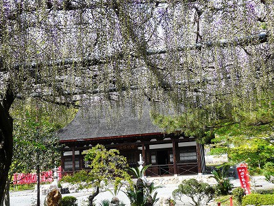 宝林寺から