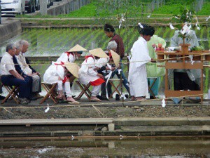 お田植え祭りスライドショー