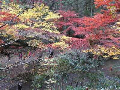 小国神社に行って来ました