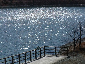 いなさ湖の春