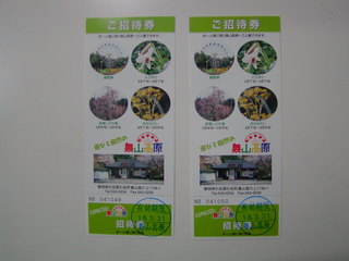 昇竜しだれ梅