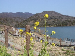 いなさ湖の春ｐ２