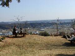城山公園早咲きの桜