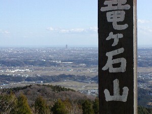 リスに遭遇