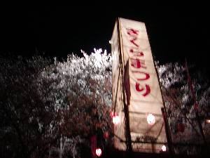 桜まつりライトアップ