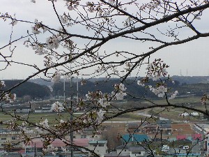 城山稲荷ｐ３