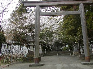 きらっと市場ｐ９