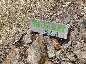 ギフ蝶