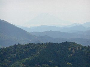 視界良好