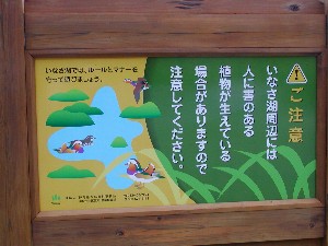 有害植物