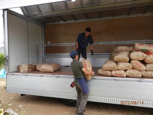 ポテチ用男爵も大量出荷