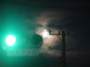 お月見出来ました